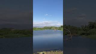 biologos parati biologia paisajesnaturales vistaspanorámicas estuario playa vistas parati [upl. by Esilahc]