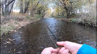 Fly Fishing an urban stream for trout and bass [upl. by Anitac898]