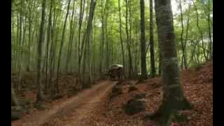 La fageda den Jordà i la fàgrica de iogurts quotLa Fagedaquot [upl. by Verbenia]