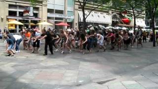 Denver Flash Mob Safety Dance 2010 [upl. by Sirkin]