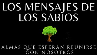 Los mensajes de los sabios Brian weiss Audiolibro completo en español voz humana [upl. by Notsuj]