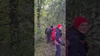 Crook and Weardale Ramblers 9 Mile Hike Around ST Johns Chapel [upl. by Snow]