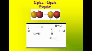 Intermolecular Attractions  Induced dipole Dipole Hydrogen Bonding Ion [upl. by Chet]