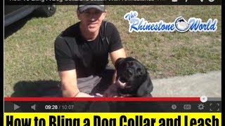 How To Bling a Dog Collar and Leash with Rhinestones [upl. by Anar]