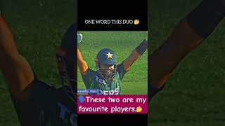 🗣️These two are my favourite players🤔🏏🥎❤🥀 BABAR 🆚RIZWAN [upl. by Ecal]