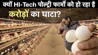 Automated Broiler Layer Poultry Farm Business plan Farm Karnal india मुर्गी पालन लोन जानकारी [upl. by Jaymie742]