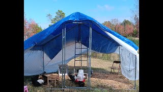 New Kennel up and splitting the pullets up [upl. by Chicky]