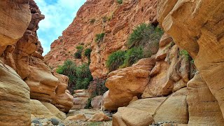 🇯🇴 Iordania  Wadi Ghuweir  Kerak Castle [upl. by Kylah]