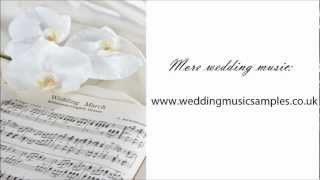 Canon in D Pachelbel  Wedding Processional Music [upl. by Ronel]