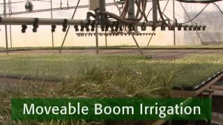 Low Volume Irrigation  Moving Nurseries Toward Sustainability [upl. by Adnarahs405]