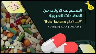 المجموعه الأولي من المضادَّات الحيوية البيتالاكتام Beta lactams [upl. by Rede84]