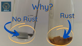 Rusting Experiment  Rust Prevention Methods  Corrosion  GCSE Chemistry [upl. by Harlan330]