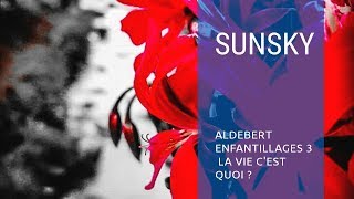 Aldebert  La vie cest quoi  Enfantillagee 3 Live festival de Poupet 2018 [upl. by Cypro]