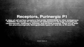 Medical vocabulary What does Receptors Purinergic P1 mean [upl. by Oswin]