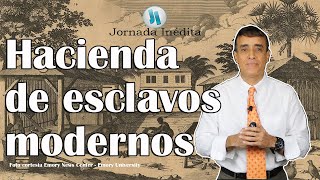 Actualidad de Puerto Rico Una hacienda de esclavos modernos [upl. by Landmeier]