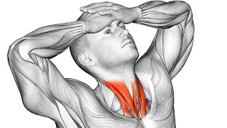 The 15 Most Effective Exercises for Neck Pain Relief [upl. by Tamah]