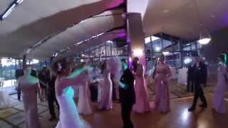 Pitbull Fireball Wedding Reception Entrance Dance Judith and Ronnie [upl. by Nodla746]