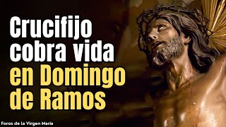 El mayor Milagro del Domingo de Ramos Crucifijo de Cristo en agonía Cobró Vida [upl. by Prendergast]