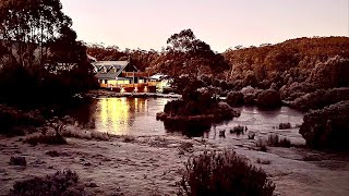 STAY AT PEPPERS CRADLE MOUNTAIN LODGE amp Nature FULL REVIEW  Cradle Mountain Tasmania Australia 🇦🇺 [upl. by Chip]