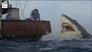 Jaws Shark with barrels HD CLIP [upl. by Giess543]