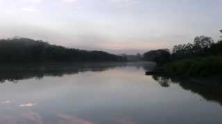 Ucayali River Reflections [upl. by Pacorro]