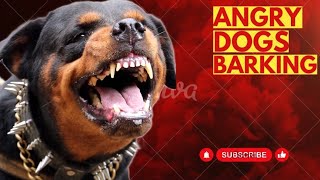 Angry Dog Sounds To Annoying Dogs  Angry Rottweiler barking [upl. by Aneleairam253]