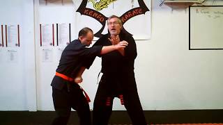 Texas Storm Kenpo Karate  Unfurling Crane [upl. by Nevi]