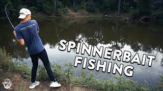 Spinnerbait Fishing Tips  Pond Bass Fishing with Finatic [upl. by Lonnard757]