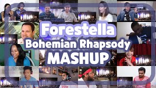 포레스텔라 Forestella quotBohemian Rhapsody 보헤미안랩소디quot reaction MASHUP 해외반응 모음 [upl. by Ko]