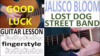 JALISCO BLOOM  LOST DOG STREET BAND fingerstyle GUITAR LESSON [upl. by Anahsal]