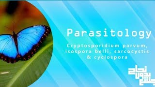 cryptosporidium Isospora cyclospora sarcocystis  para L9  revision [upl. by Hnaht]