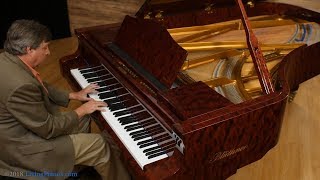 Blüthner Model 2 SemiConcert Grand Piano Review  Living Pianos [upl. by Siouxie235]