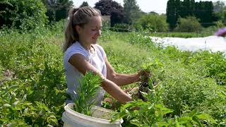 A Tour of Sustainability at Lafayette College [upl. by Yraeg]