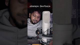 Adaraye Geethaya 🤍 by malick perera acoustic cover by Nalin J sinhalacoversongs music shorts [upl. by Naujed377]