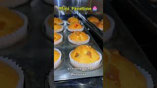 Mini panetone que sua avó fazia👵🏼Me segue aqui❤️ cozinhando receitas culinaria panetones [upl. by Watanabe650]