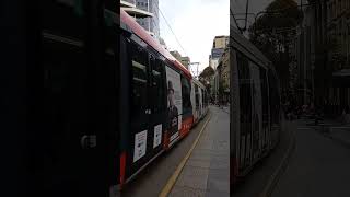 Trams in Sydney [upl. by Aihsram]