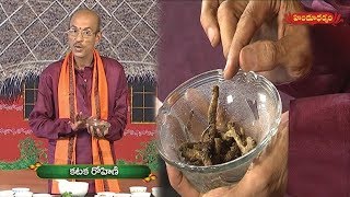 కటక రోహిణితో ఔషధ గుణాలు  Benefits of PicrorhizakurroaKutki  Veda Vaidhyam  Hindu Dharmam [upl. by Davida]