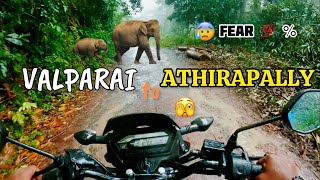 ⛔️WARNING❗️ Elephant Crossing 😱 VALPARAI to ATHIRAPALLY Road Tamil🫣🥵 [upl. by Cavanaugh]