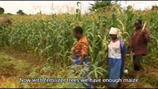 Harvesting Hope 3 World Agroforestry Centre [upl. by Euqinomad]