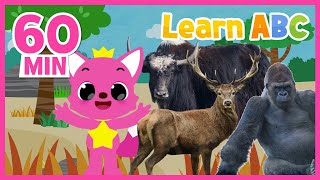 Learn ABC with Pinkfong  Learn Animals  PinkfongPlayground [upl. by Trub]