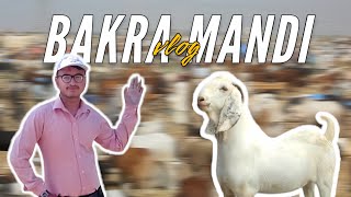 BAKRA MANDI VLOG 😜  BAKRA IS SO EXPENSIVE 😂subscribe animals [upl. by Noira]