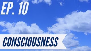 Ep 10  Awakening from the Meaning Crisis  Consciousness [upl. by Rramaj]