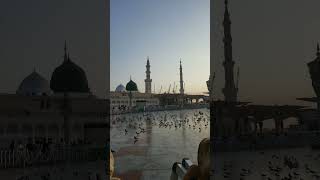 Jabsharkartashrif lane lagemasjid al nawabi inside outside short videoislamic new naarshortvideo [upl. by Aara]