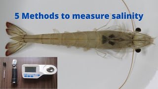 5 Methods to measure pond water salinity Telugu [upl. by Beatrisa218]