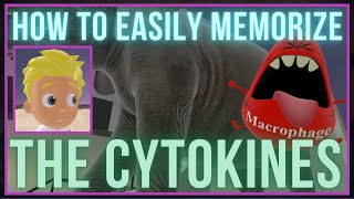 How to EASILY Memorize the Cytokines [upl. by Asseral]