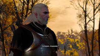 The Witcher 3 Finale cattivo ita [upl. by Airamzul]