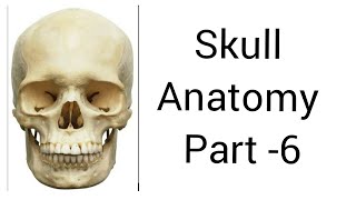 Skull bones peculiar points Part 2  Emissary veins  anatomy videos [upl. by Papageno]