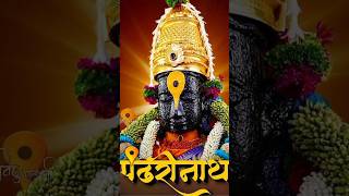 ekadashi vitthal pandurang kartikmaas mauli viralshort pandharpur viralshort [upl. by Edeline]