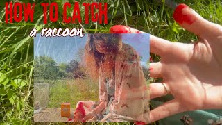 Country Girl Coon Hunting How to Bait and Catch a Raccoon [upl. by Edniya]