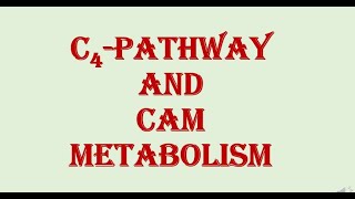 C4 Pathway and CAM Metabolism  HPU BSc 2nd Year [upl. by Almap170]